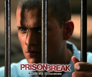 kraty, Wentworth Miller, Prison Break, Skazany na śmierć