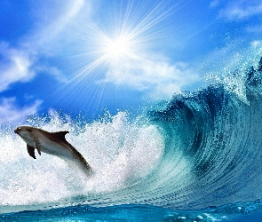 Delfin, Słońce, Fala