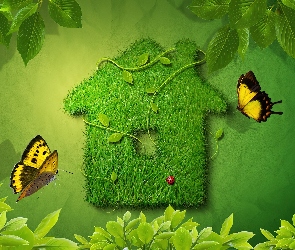 Zielony, Motyle, Trawa, Domek