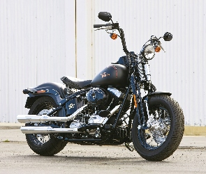 Retro, Harley Davidson Softail Cross Bones