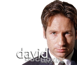 koszula, krawat, David Duchovny
