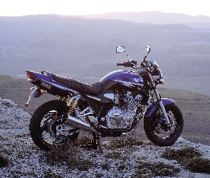 Silnik, Yamaha XJR1300