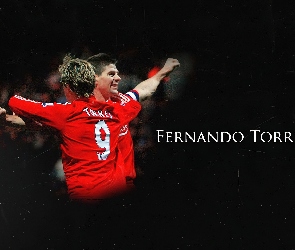 Liverpool, Fernando Torres