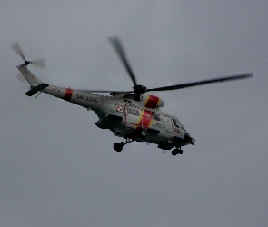 PZL Świdnik, W-3RM Anakonda