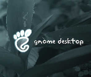 liście, stopa, Gnome