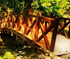 Park, Rzeka, Drewniany, Most