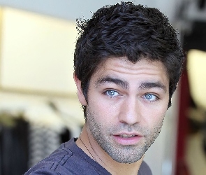 Adrian Grenier, Aktor