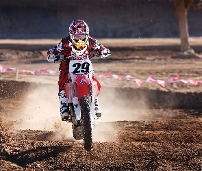Honda, Andrew Short