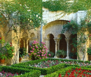 Francja, Kwiatki, Kolorowe, Ogród, Cloister