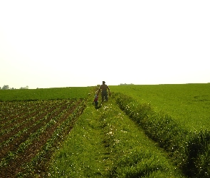 Łąka, Dziecko, Spacer