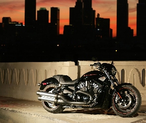 Harley-Davidson VRSC Night Rod Special, Miasto, Cruiser