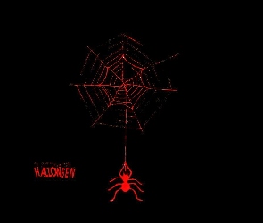 pajęczyna , pająk, Halloween