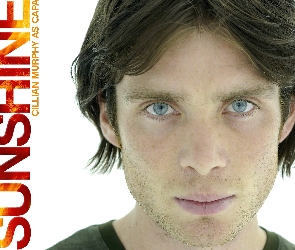 Sunshine, napis, twarz, oczy, Cillian Murphy