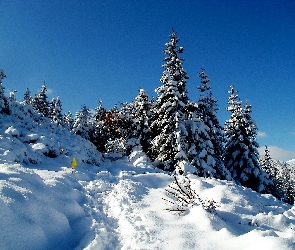 Zima, Tatry, Góry