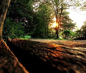 Ławka, Park, Zachód, Słońca