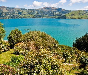 Jezioro, Nowa Zelandia, Roślinność, Góry