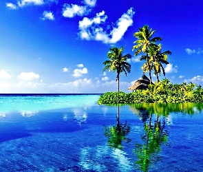 Morze, Palmy, Wyspa