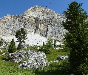 Dolomit, Drzewa, Skały