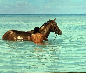 Koń, Morze, Mężczyzna