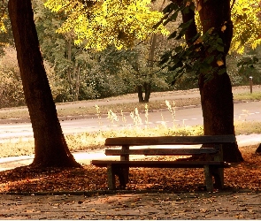 Liście, Drzewa, Park, Ławka