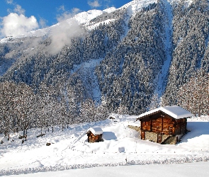 Las, Domek, Góry