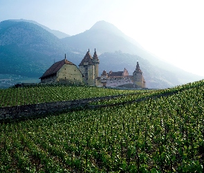 Francja, Winnica, Góry, Zamek