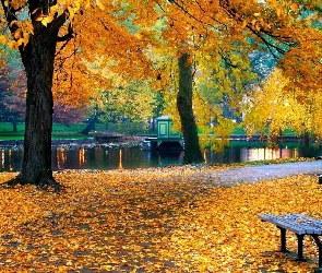 Jesień, Ławka, Park, Rzeka