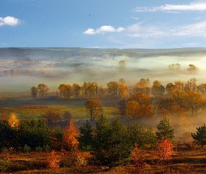 Pola, Jesień, Mgła, Panorama, Drzewa