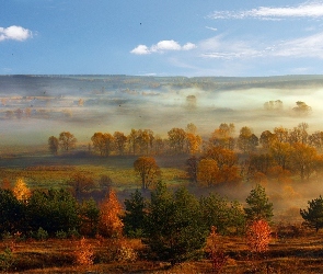 Drzewa, Jesień, Panorama, Mgła, Pola