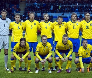 Szwecji, Euro 2012, Drużyna