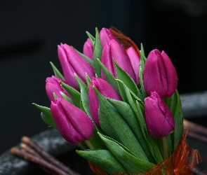 Fioletowych, Tulipanów, Pęk