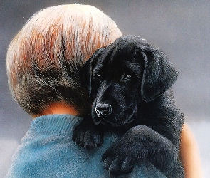 Dziecko, Labrador Retriever, Szczeniak