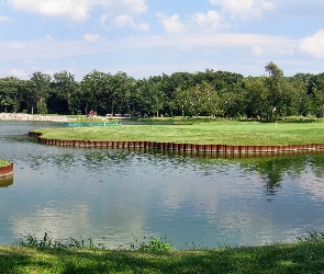 Park, Drzewa, Jeziorko, Mosty