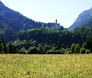 Neuschwanstein, Góry, Zalesione, Łąka, Zamek