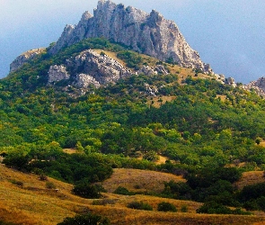 Drzewa, Jesień, Góry