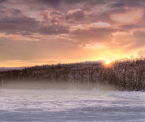 Las, Śnieg, Słońca, Zachód