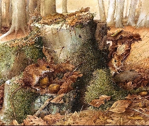 Myszy, Pieniek