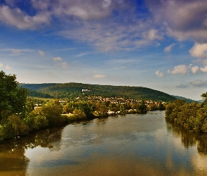 Rzeka, Las