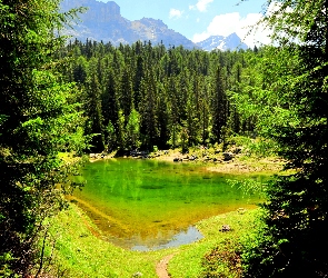 Las, Góry, Jezioro
