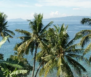 Palmy, Filipiny, Ocean