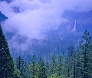 Las, Mgła, Góry