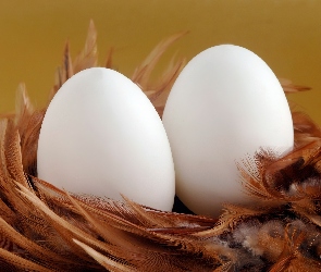 Piórka, Jajeczka, Białe
