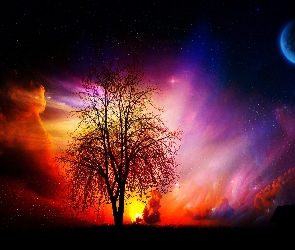 Drzewo, Planeta, Chmury, Kolorowe