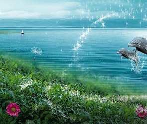 Kwiatki, Morze, Dwa, Delfiny