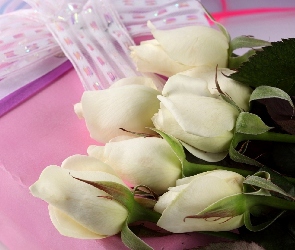 Białe, Wstążki, Pudełko, Róże