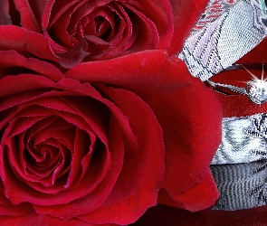 Róża, Pierścionek, Czerwona