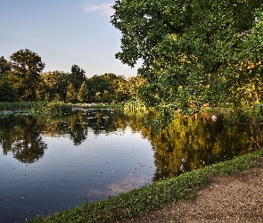 Dróżka, Drzewo, Park, Jezioro