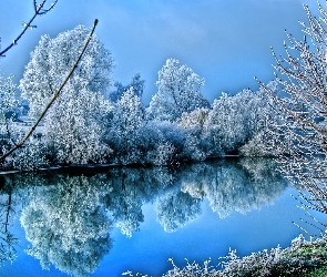 Drzewa, Jezioro