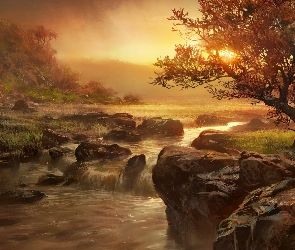 Słońca, Kamienie, Drzewo, Rzeka, Zachód
