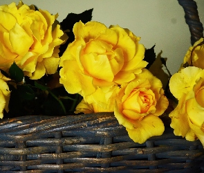 Żółte, Koszyk, Wiklinowy, Róże